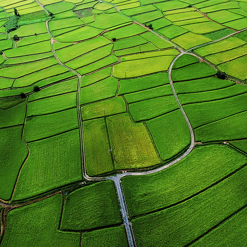 Boundaries Amongst the Fields; Deep Greens